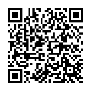 大世界的鬼道圣主和小世界的鬼道圣主压根不在一个档次上二维码生成
