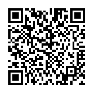 大佬们当然不会随便出来看热阄但大佬们的秘们就忍不住了二维码生成