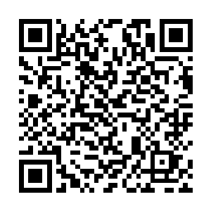 大侠……大侠……这岛不能随便进啊……会死人的……二维码生成