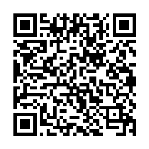 大刀五和龙娇分别将凝煞聚罡得来的力量分润给他们二维码生成