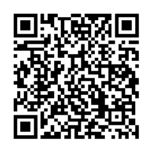 大力野生动物与乖巧宠物保护协会是由野生动物保护管理二维码生成