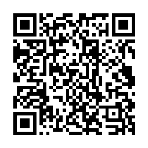 大卫对于雨果刚才打断自己话语的举动似乎捕捉到了一点什么二维码生成