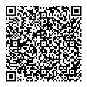 大哥……你为什么一直不肯看着我……过去是那个你捡来的小丫头……现在又是陶二小姐……你为什么就不肯回头看一看我……二维码生成