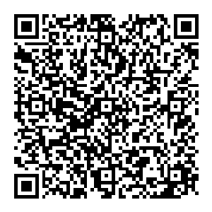 大嘴一张 顿时传來吞天噬地之力 将那些星星点点全部吞噬进去 当吸收之后 他确实如遭雷击 再次呆立在原地二维码生成