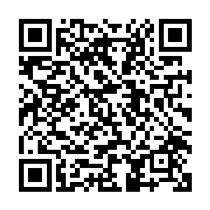 大地时不时会因为这些巨兽们强悍的碰撞而发出爆炸般的动静二维码生成