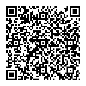 大地颤抖 这一刻 似乎不再是两个人交手 而是两道不同的意志 一个带着摧毁一切 而另一个  则是抵挡二维码生成