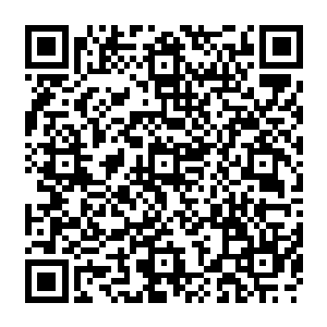 大型农场农作物的亩产量要比小农经济的精耕细作差上百分之十到百分之二十左右二维码生成
