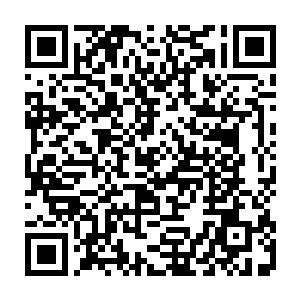 大声为马凯加起油来――尽管其实马凯压根儿听不到他在荷兰演播室里的加油声二维码生成