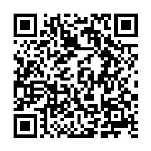 大多数现在活得都很快乐……因为你的第二次生命开始了二维码生成