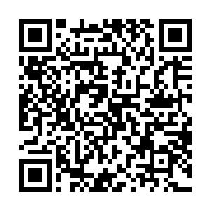 大大小小种类繁多的东洋本地势力组织他们和樱花神没仇二维码生成