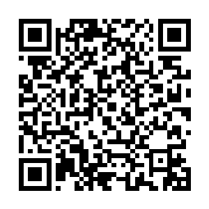 大宗师级高手几乎死伤殆尽的……青衣卫虽然也损失惨重二维码生成