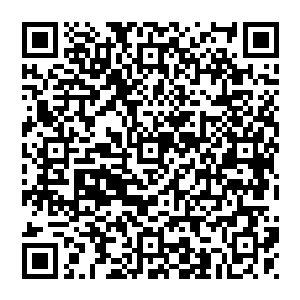 大宗师级高手强得多了……也更加明白秦方为什么可以打破这几乎堪称至尊境以下无敌的龙象菩提金身的防御力的二维码生成