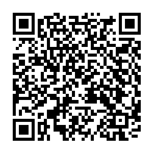 大家也不并不认识杨晨是谁毕竟杨晨并没有在宗门所有弟子面前抛头露面二维码生成