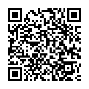 大家也许只注意到这位大块头憨实的肌肉和打蛋器一样的面具二维码生成