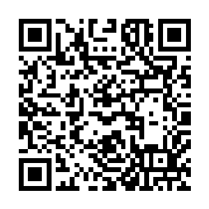 大家今天晚上肯定会老老实实的呆在城池里好好的研究战术二维码生成