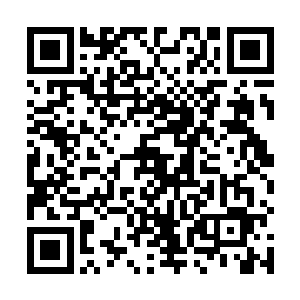 大家再次深刻地认识到了唐铮在安妮公主心目中的地位二维码生成