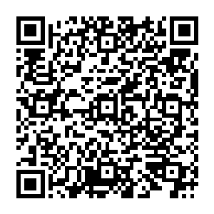 大家又在训练场看到了已经在挥汗如雨的荣光时……他们终于不得不承认伊斯梅尔说的没错二维码生成