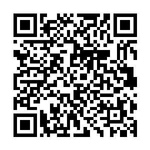 大家可以凭着时间的堆积和淬体的功法慢慢地达到自己的目标二维码生成