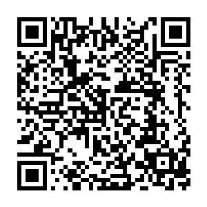 大家可是深刻的记得第一次夏儿进入厨房的时候那惊天动地的样子二维码生成