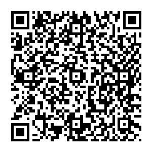 大家的脑海当中都不由得浮现出了这么一名依靠在冷宫栏杆上双目幽怨发着感叹的深宫妃子的形象二维码生成