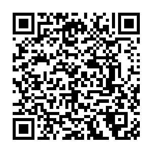 大家聚精会神的看着巴克拿一张总统府信笺在电筒光下手绘讲解地形图二维码生成