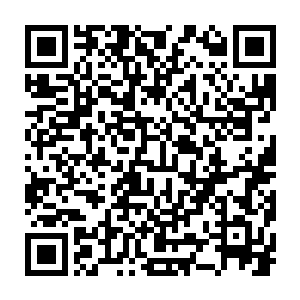 大家还是更喜欢王世子演讲时那种慷慨激昂而又人蓄无害的话跟模样二维码生成