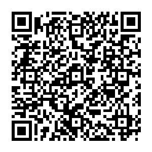 大家都在等着下一次这个神奇的庄要什么时候才能继续他的那用股票曲线图画各种图的大计二维码生成