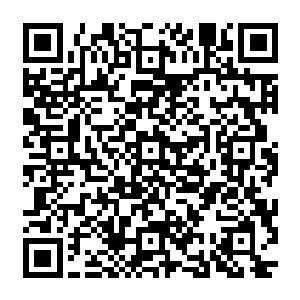 大家都等着杨氏支撑不下去的时候以最低的价格承揽未来将创造几百亿利润的海底隧道工程二维码生成