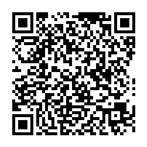 大家面前的文件袋里的文件夹16页里有详细的各自所需拿出的股份数额二维码生成