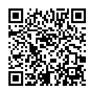 大成冰魄寒霜功再加上无暇品质的冰灵丹……可以一试二维码生成