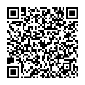 大成渔港的老板何大成现在总算知道了卢向东是开发区管委会的副主任二维码生成