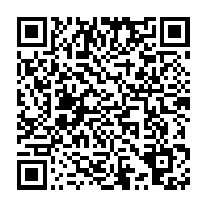 大抵也成功的使人们对传统文学失去了阅到香蕉提到的那个文学硕士二维码生成