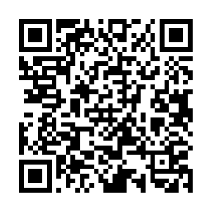 大概会和霍承泽作为霍家家主继承到的那一份差不多了二维码生成