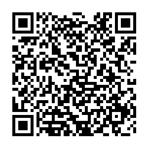 大概就可以顺利的再度北伐了…………自己将老种小种倾陷成这等模样二维码生成