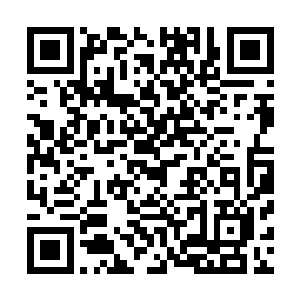 大概就是因为实在找不出第二个我这样没有任何根基的人了二维码生成