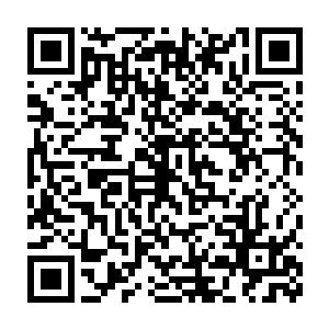 大概就是那种手背上稍稍被蹭破一丁点皮的痛感小到几乎可以忽略二维码生成