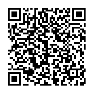 大概是为了方便军方的训练和给秘密实验室提供大量真正的野生动物作为标本二维码生成