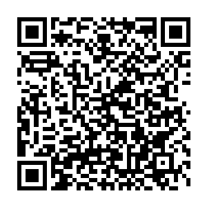 大概是已经想明白在这样的环境里它平日的潜伏行为完全起不到作用二维码生成