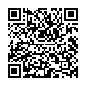 大殿之内的各位族长开始商量各自家族派出的修士品级以及数量二维码生成