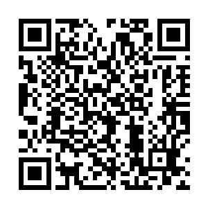 大殿里包括吕皇后在内的众人不由便回头朝殿门口看去二维码生成