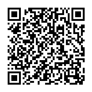 大清洗的后果就是西塞罗家族的实力无法避免的要受到很大的损失二维码生成