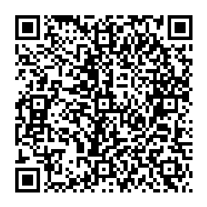 大灾变之前人类发明的重量最轻的战术核武器――戴维小型战术核武器的爆炸威力就是四百一十八亿焦耳二维码生成