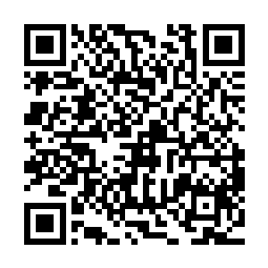 大熊酒楼里的大厨都是他从皇宫和他老爹开的酒楼里挖出来的二维码生成