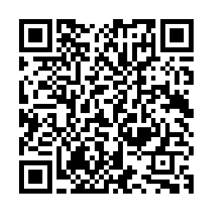 大狗眷恋的把儿子揽在长长的被毛中舔了好几口似乎在交代遗言二维码生成