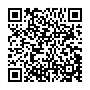 大眼睛无措无辜的看着宴维……从来没有经历过这样的情形二维码生成