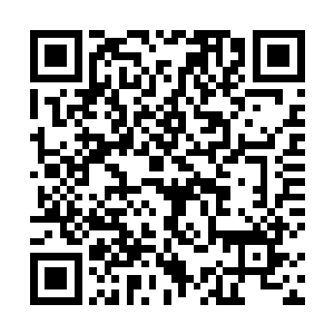 大而宽厚的下颚让的他的表情在大多数时间都显的庄重二维码生成