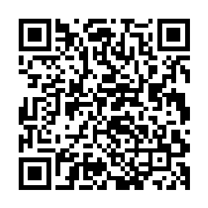 大致上就是让寒仙门多把信得过的弟子剑仙派往北狐芸的领地二维码生成
