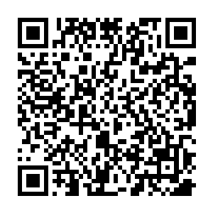 大规模的打黑行动一般都是在黑帮成员真正触犯了政府核心利益时才会出现的二维码生成