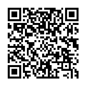 大部分时间都待在万杀阵之内修炼和悟道塔之内参悟剑意和奥义二维码生成