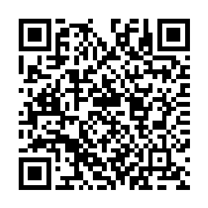 大部分示威抗议者都不得不在中央公园的一些大门口举行了二维码生成